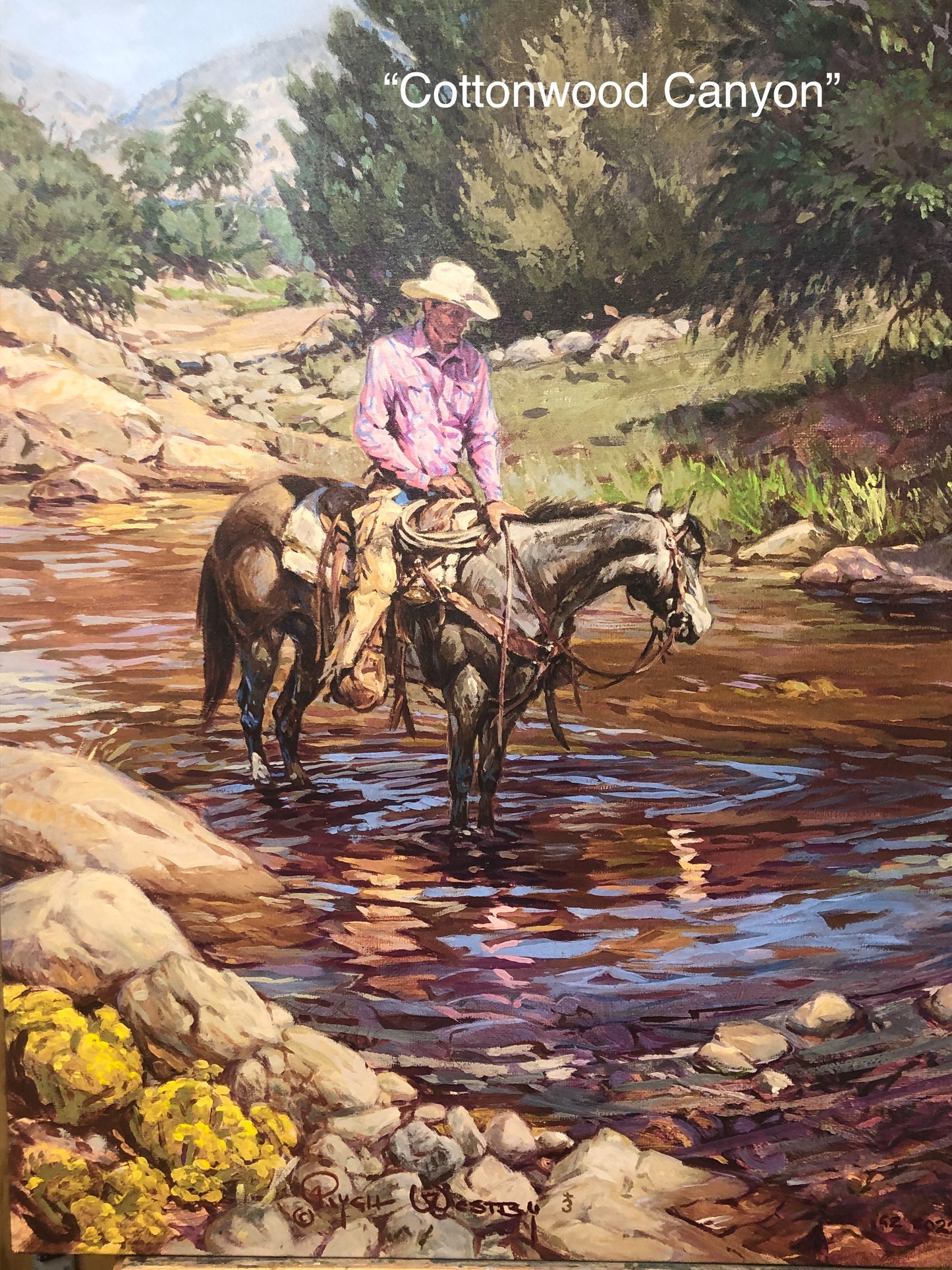 “Cottonwood Canyon”