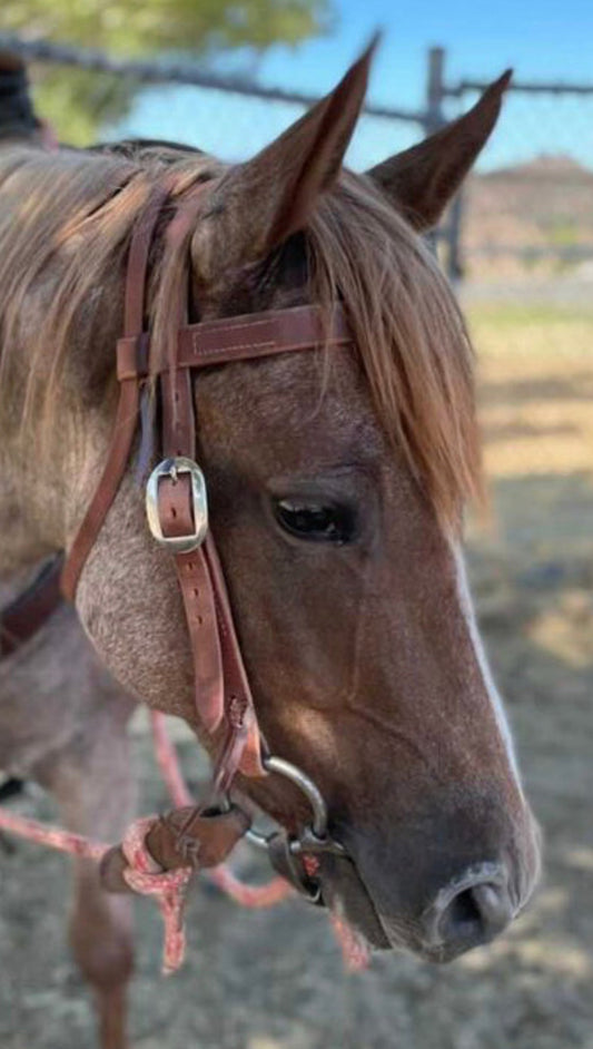 1” Browband Headstall