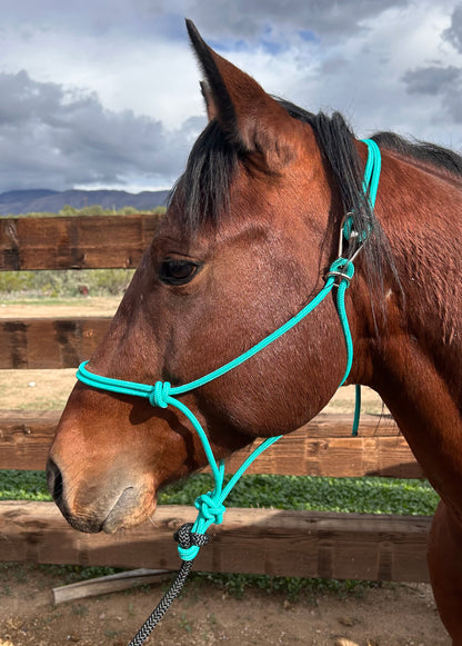 No Tie Halters